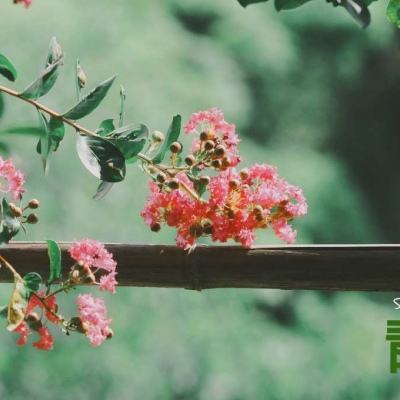 kok官方体育app下载