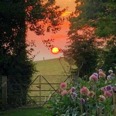 金年会体育app下载官网