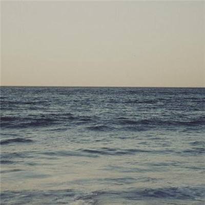 OB官网登录入口