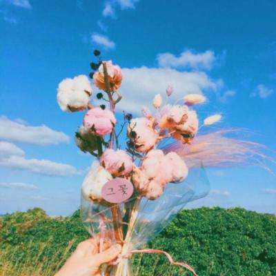 真人斗牛牛下载手机版